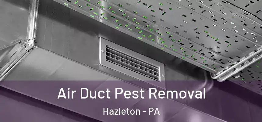  Air Duct Pest Removal Hazleton - PA