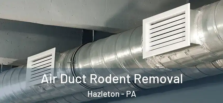 Air Duct Rodent Removal Hazleton - PA