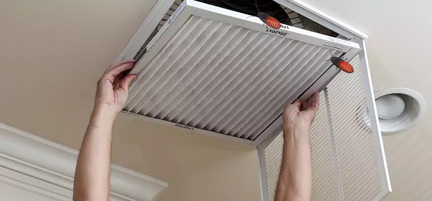Preventive Cockroach-Proofing for Ducts in Hazleton