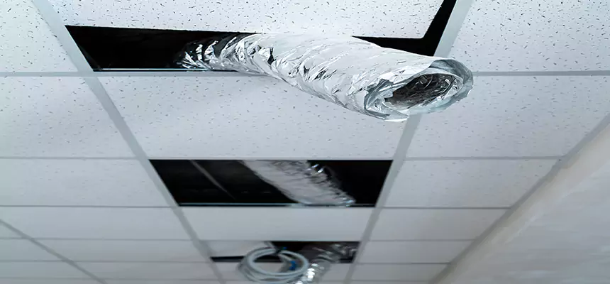 Affordable HVAC Sanitizing After Pest Removal in Hazleton