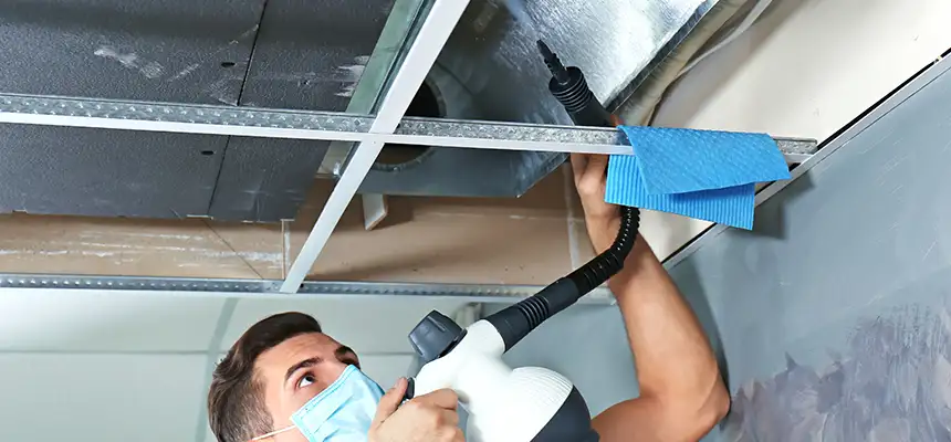 Our Air Duct Rodent Removal Services in Hazleton, PA