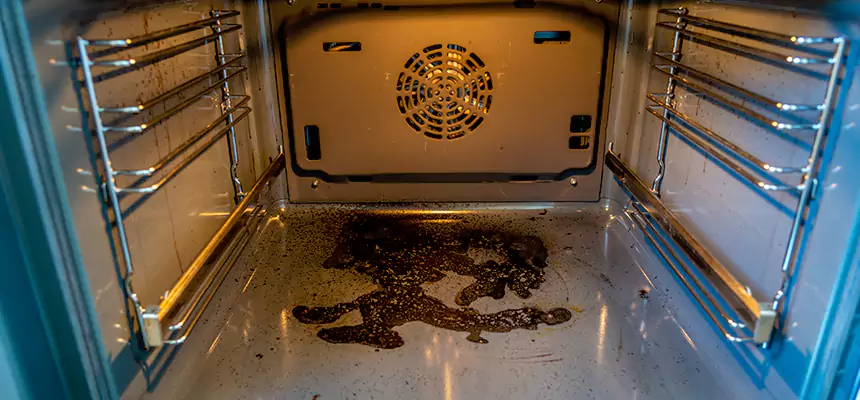 Our Dryer Vent Mold Cleaning Services in Hazleton, PA