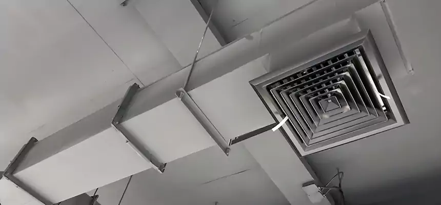 Our Rodent Droppings In Vents Services in Hazleton, PA