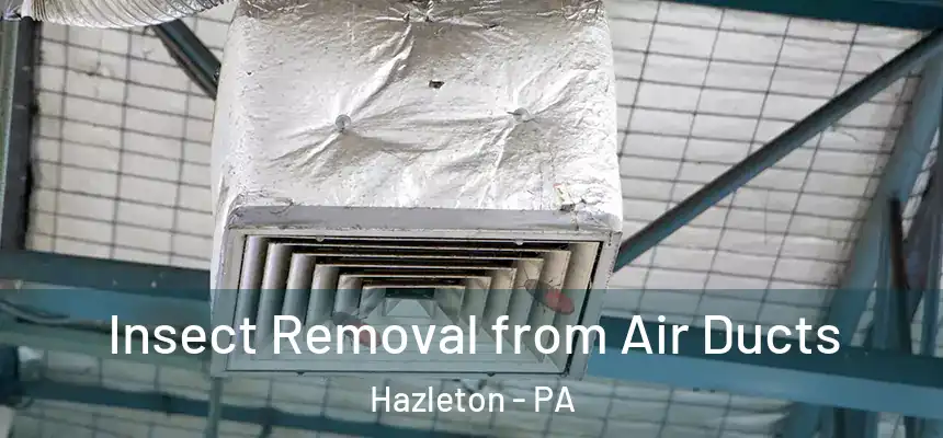  Insect Removal from Air Ducts Hazleton - PA
