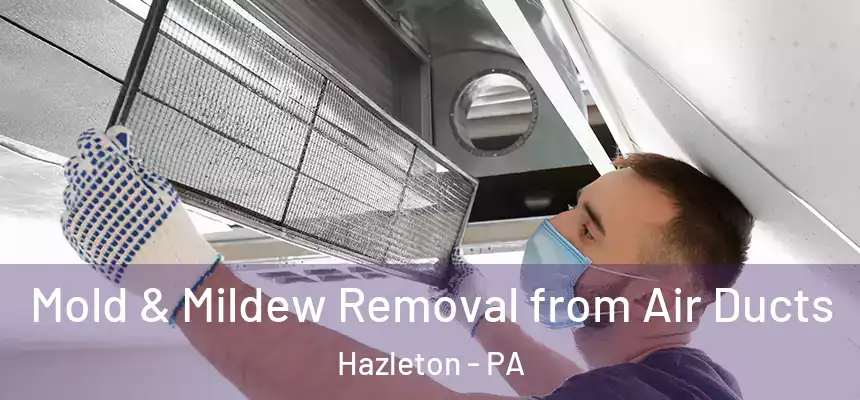  Mold & Mildew Removal from Air Ducts Hazleton - PA