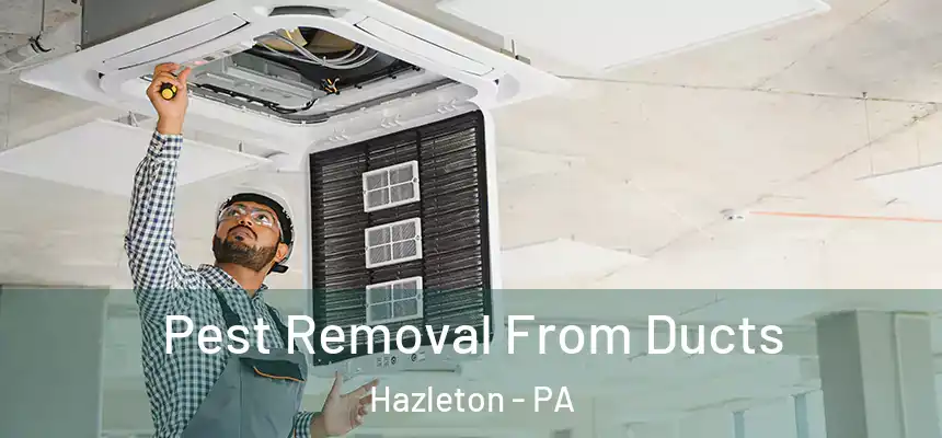  Pest Removal From Ducts Hazleton - PA