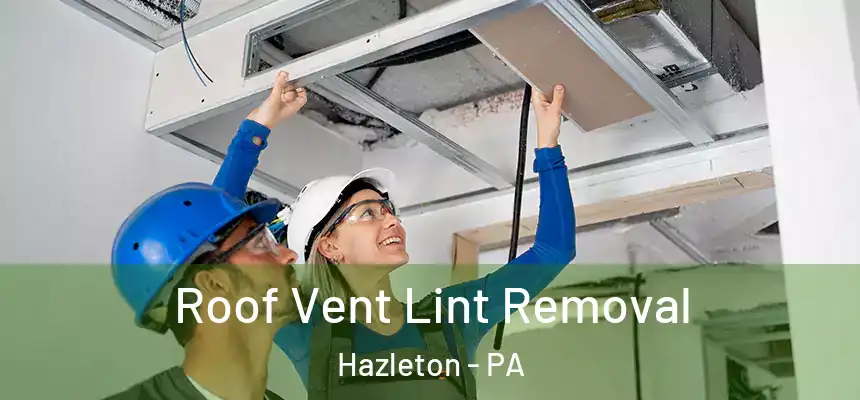  Roof Vent Lint Removal Hazleton - PA
