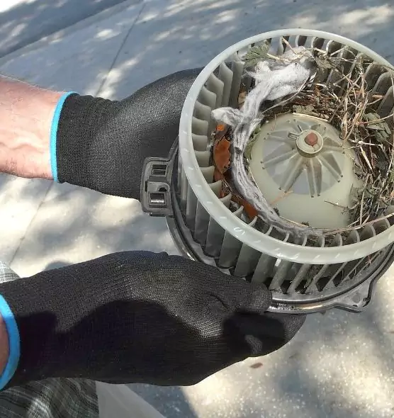 About Air Duct Rat Removal in Hazleton, PA