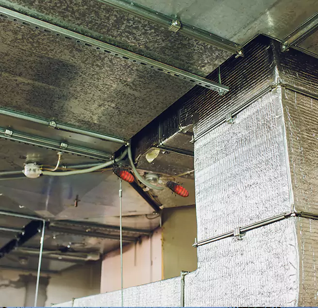 Why Homeowners & Businesses Trust Us Hazleton, PA?