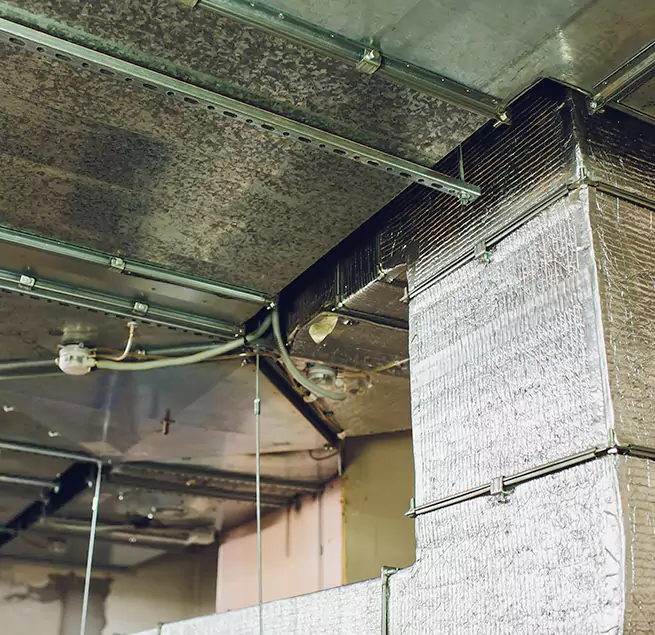 Why Homeowners & Businesses Trust Us in Hazleton, PA?